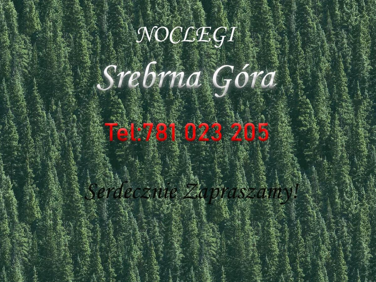 Noclegi Pod Twierdza Srebrna Góra Exterior foto